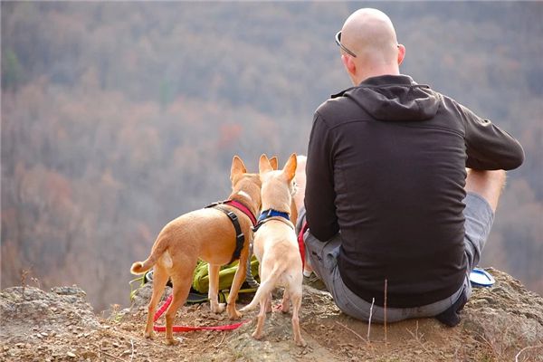 Ý nghĩa tâm linh của giấc mơ thấy một người đàn ông bị hói